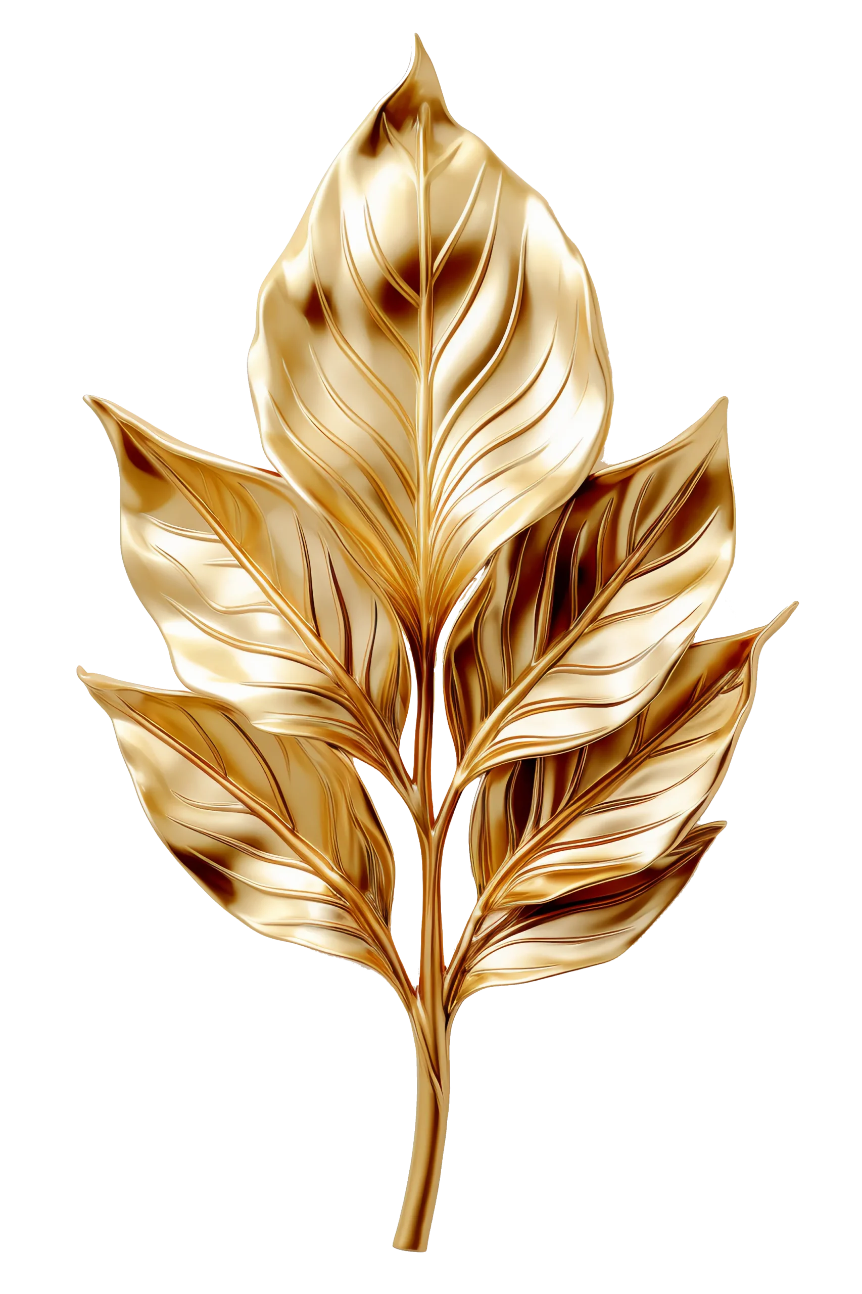 Highlights Icon