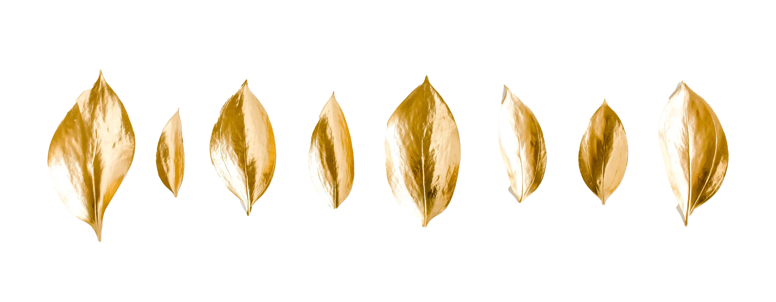 pattern-texture-with-gold-leaves